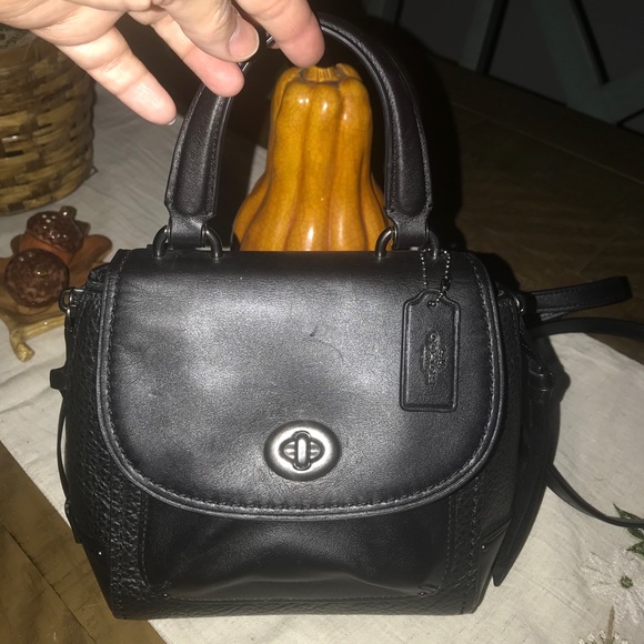 mini faye backpack coach